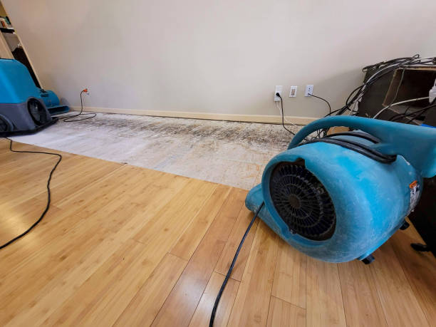Professional Ceiling Water Damage Repair technician working in McHenry, MS