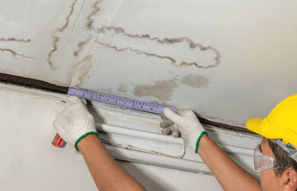 Affordable Ceiling Water Damage Repair solutions in McHenry, MS